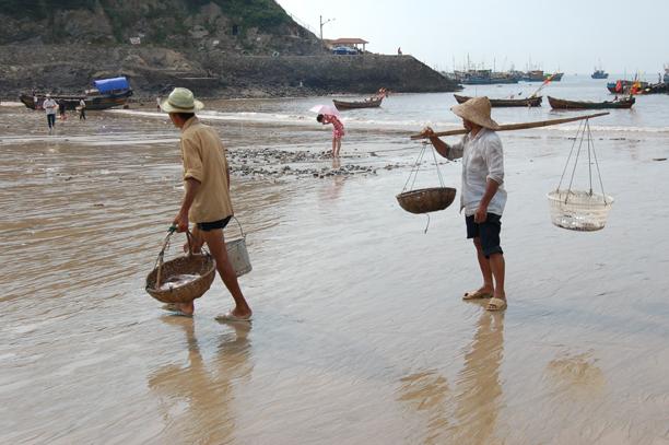 世代渔民走出个公司老总的创业故事