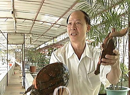 从要饭孤儿到资产赚过亿 卖王八卖出财富传奇!