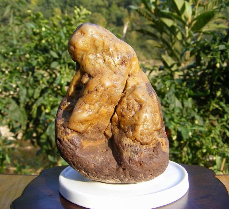 “中国奇石大王”王伟创业从不轻言败