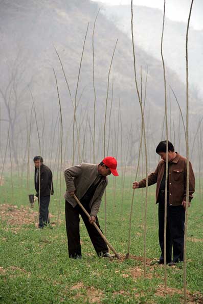 刘庚明:艰辛创业荒山披绿 古道热肠见义勇为