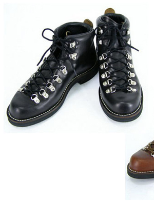 ձShipsDannerƳ2010ļHorween Mountain Light hiƤѥ