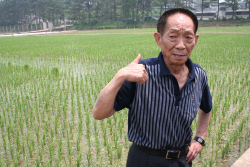 һ�������ʱ�ݵ���ʳ����