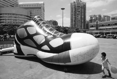 Ȫ��5�׾�Ь��������NBA����