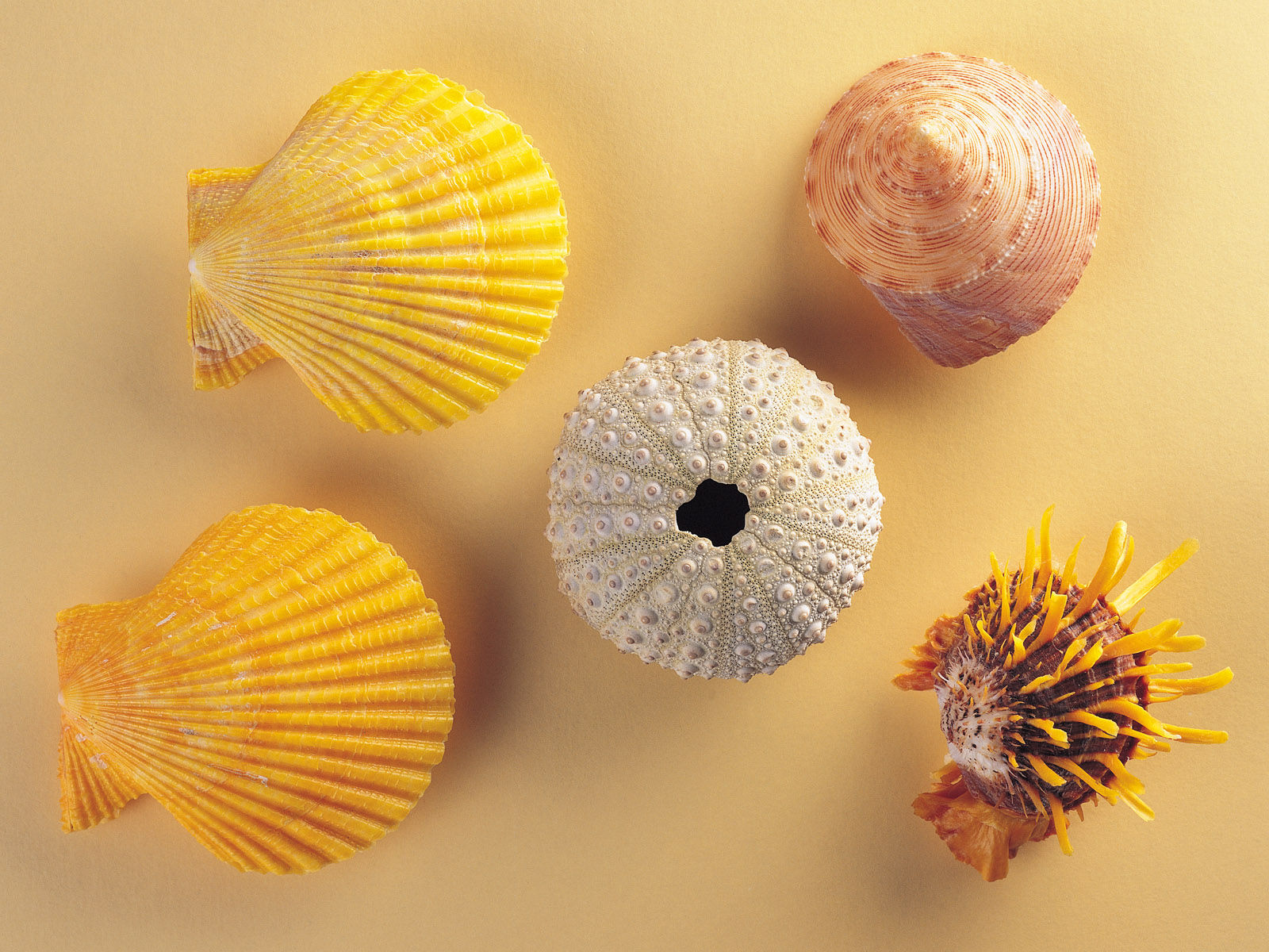 19�괴ҵ��׬��Ԫ