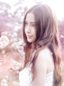 Angelababy˵д 