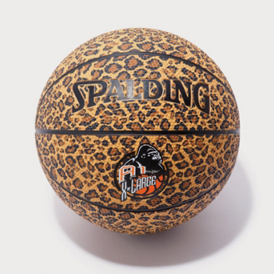 Spalding �Ƴ���Ŀʮ�������������